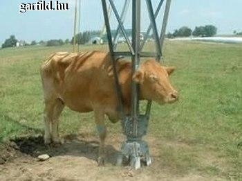 Az beszorult Az beszorult