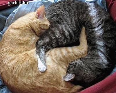 Ying és Yang Ying és Yang