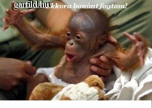 Ekkora banánt hozzál...