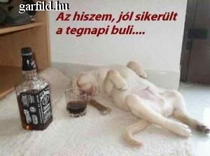 Ezt már csak így lehet bírni Ezt már csak így lehet bírni