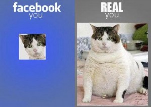Már az állatok is csalnak a facebookon...