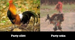 Party előtt és után...