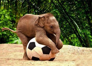 labdázik az elefánt, de az ő mérete