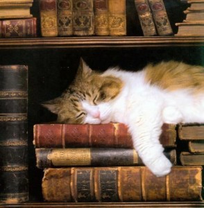 ha a könyveken alszom biztosan okosabb leszek