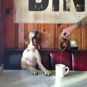 Reggeli kávé