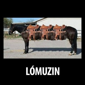 Lómuzin