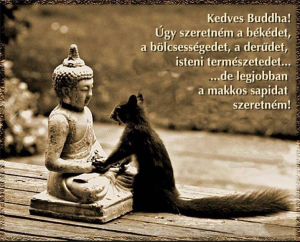Mókus és a buddha